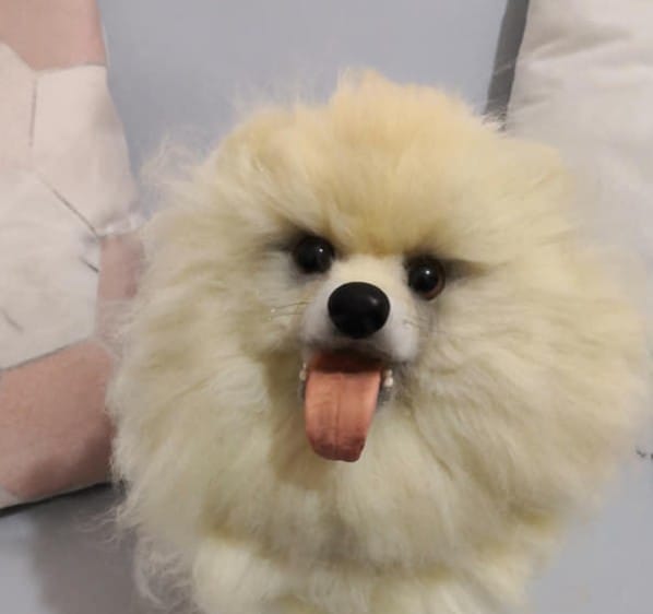 dog obedience training